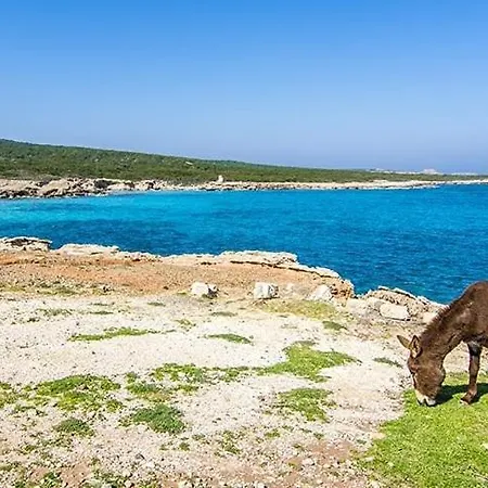 Tekos Golden Hill & Restaurant At Karpaz Agios Sergios