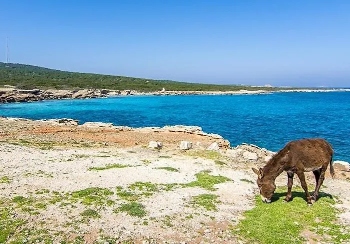 Tekos Golden Hill & Restaurant At Karpaz Agios Sergios